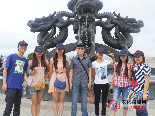 我的小團(tuán)隊