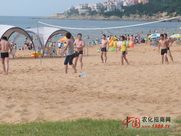 打一打沙灘排球