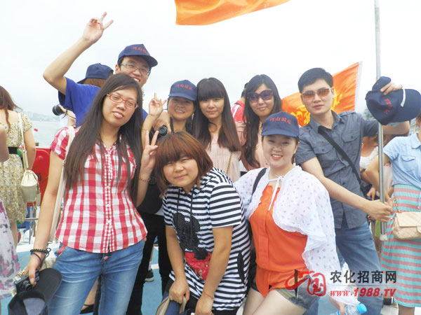 ��Ҫ����