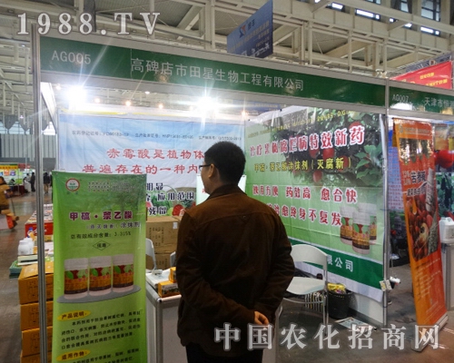 ���������ٴ������29���Ї�(gu��)ֲ����(hu��)