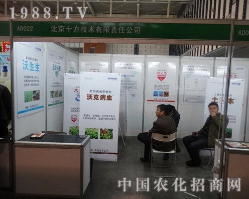 ����ʮ����2013ȫ��ֲ������Ů���