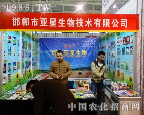 �������＼������������29���Ї�ֲ���������A�M�Y��