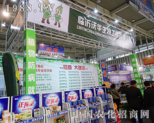 ���A�������\���ӵ�29��ֲ���p����(hu��)