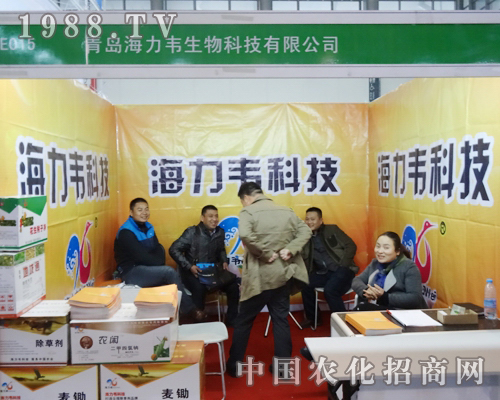 �����f��2013���Kֲ�������A�ÏV��͑���ϲ��