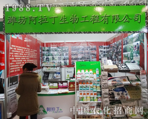 ������������2013���Kֲ����