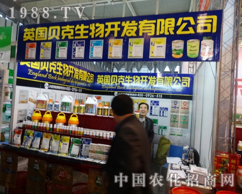 ؐ����ȫ��ֲ����(hu��)���c���Ͻё��y�ֲ��M(j��n)