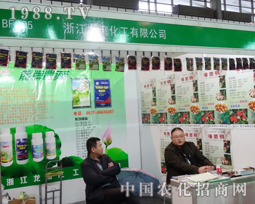 ����������2013�Ͼ�ֲ�����ו�(hu��)�Ͼ�������