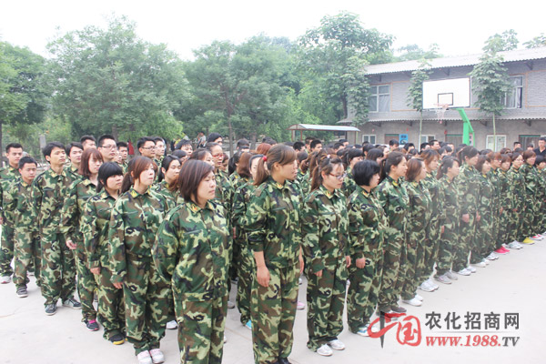 �F꠵ĺ��ĸ���������Ҫ