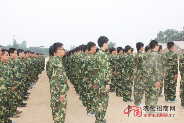 士兵突擊,整體劃一