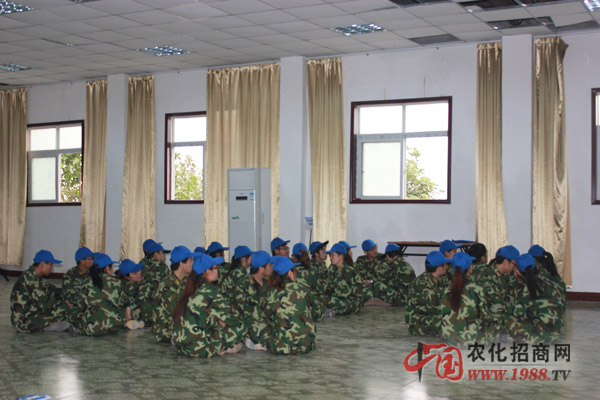 七巧板,團隊要整體合一