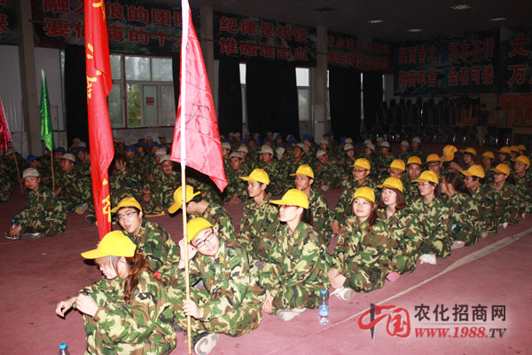 培訓(xùn)讓我們刻骨銘心