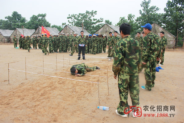 執(zhí)行力就是生產(chǎn)力