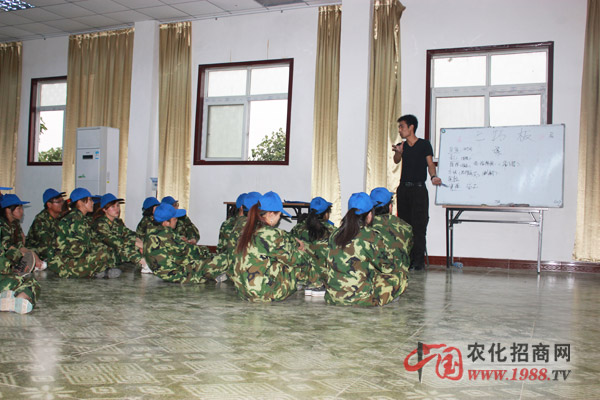 七巧板上的訓(xùn)練