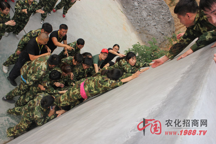 �����y������(zh��n)��ǰ����Ҷ������ľ���������w�F(xi��n)������(zh��n)���ң��۟��F꠵ľ�����