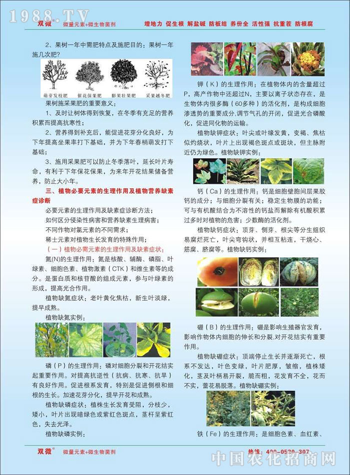 ��ꖹȵ��r(n��ng)�Y���޹�˾5