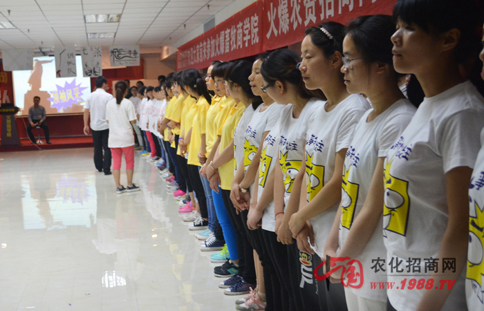 全力以赴,與團(tuán)隊共成長