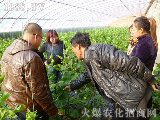 �����ֿ��S�Ƽ��l(f��)չ���޹�˾