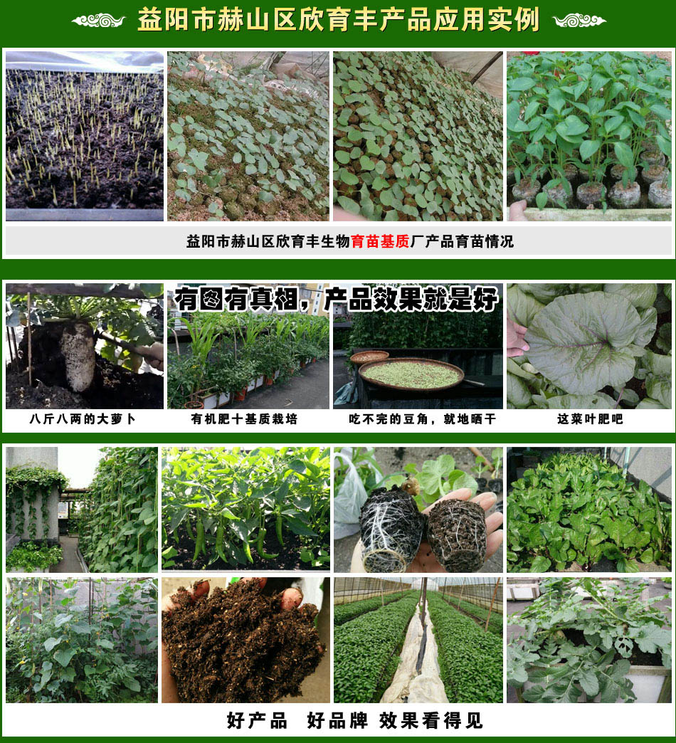 ����к�ɽ�^(q��)�����S����������|(zh��)�S