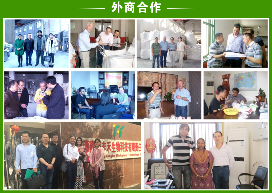 ��̶��(li��n)�S������Ƽ�����؟(z��)�ι�˾���̺���