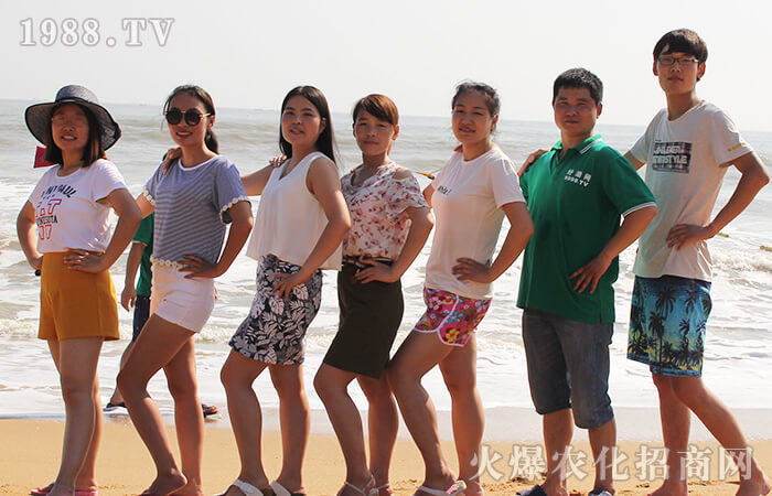 擁抱大海,感受大自然的奇妙風(fēng)光!