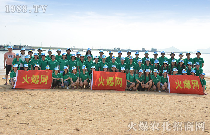 火爆團隊,海島之旅