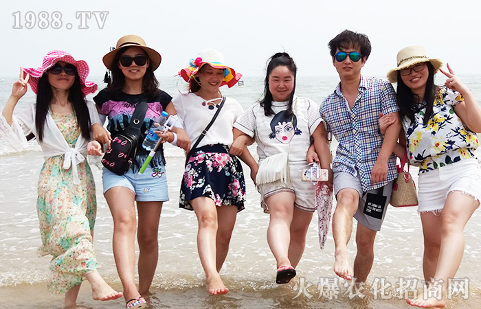 �泯�������w��