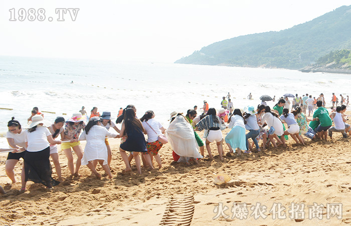 �泯�������w��