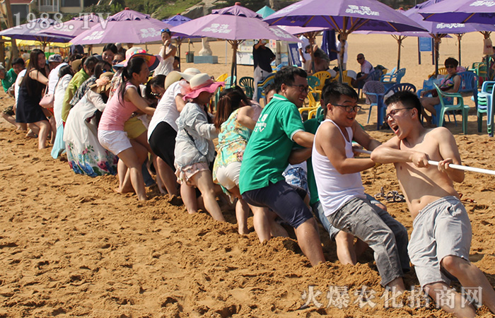 激情夏日,清涼一游