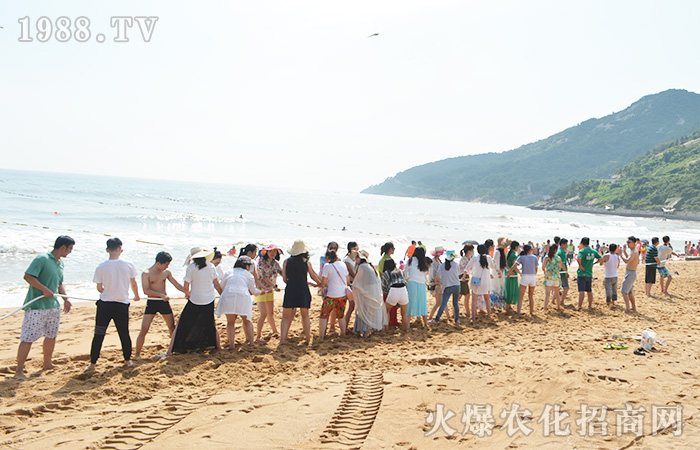 感受大海,放飛心情