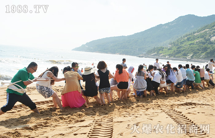 結(jié)伴同行 風(fēng)雨同舟