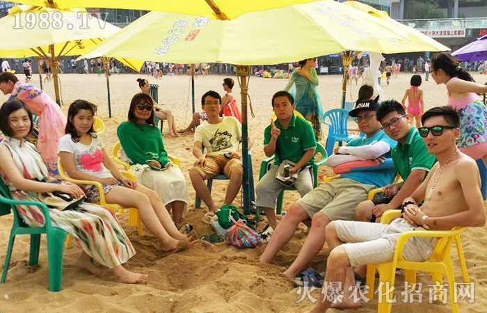 ���M(j��n)�B�Ƹۣ������������w����