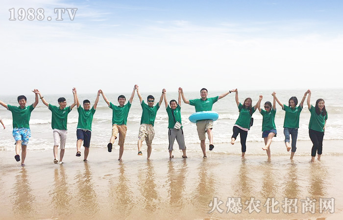 ���M(j��n)�B�Ƹۣ������������w����