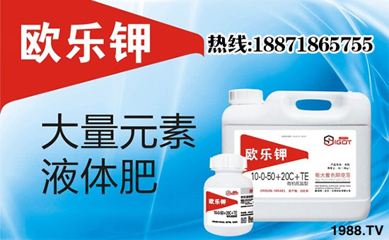 【賽固特】恭祝新老客戶雞年行大運(yùn),財(cái)源滾滾來(lái)!