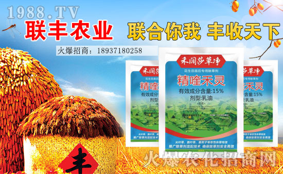 ��(li��n)�S�r(n��ng)�I(y��)��ף���2017�������³�������������H�Қg��(l��)��