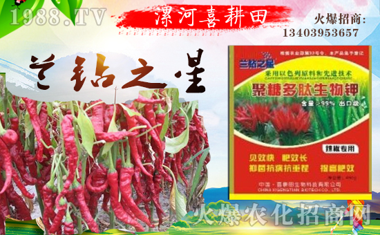 漯河市喜耕田生物科技有限公司