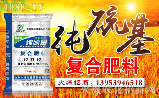 山東中港國(guó)際化肥股份有限公司