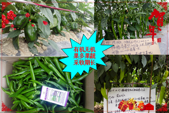 �V���������r�r�I(y��)�Ƽ����޹�˾