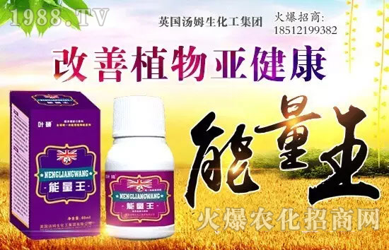 英國湯姆生化工集團有限公司