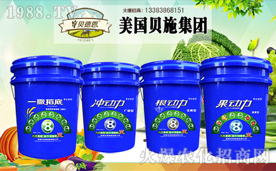 美國貝施集團有限公司2