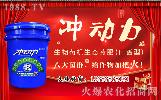 美國貝施集團有限公司1