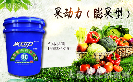 美國貝施集團有限公司