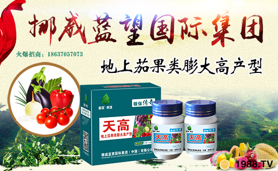 Ų���{(l��n)�����H���F(tu��n)���Ї������޹�˾