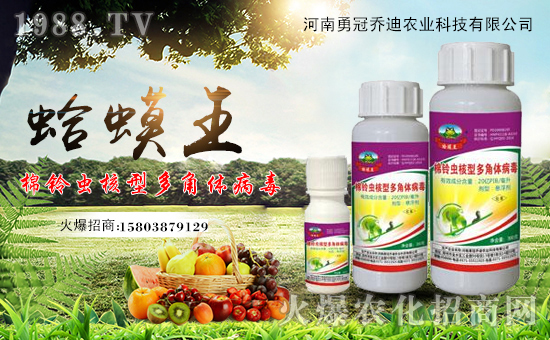 �����¹چ̵��r(n��ng)�I(y��)�Ƽ����޹�˾1