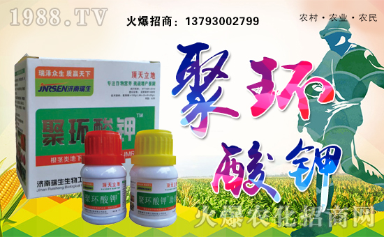 �����������﹤�����޹�˾1