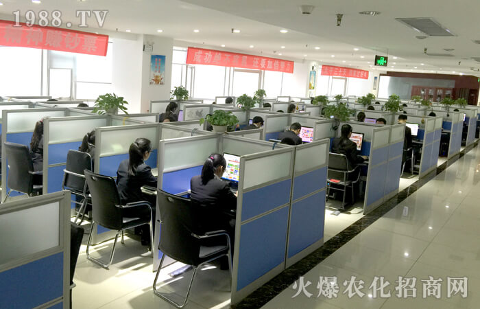 ȫ���Ը�����ƴ����