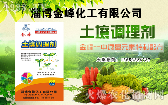 淄博金峰化工有限公司1