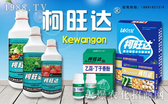 �֠��£����ô󣩇�(gu��)�H�������޹�˾2