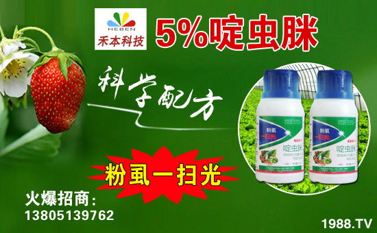 連云港禾本生物科技有限公司