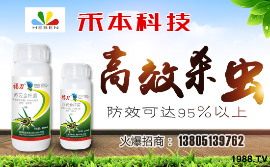 連云港禾本生物科技有限公司