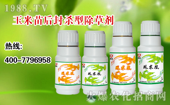 ������r(n��ng)�I(y��)��ף��ң��Ҹ��f���L���옷�o߅�������\��������